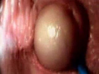 Cum inside a vagina